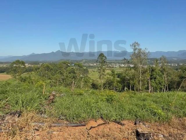 Terreno / Lote para Venda em Nova Veneza/SC Centro