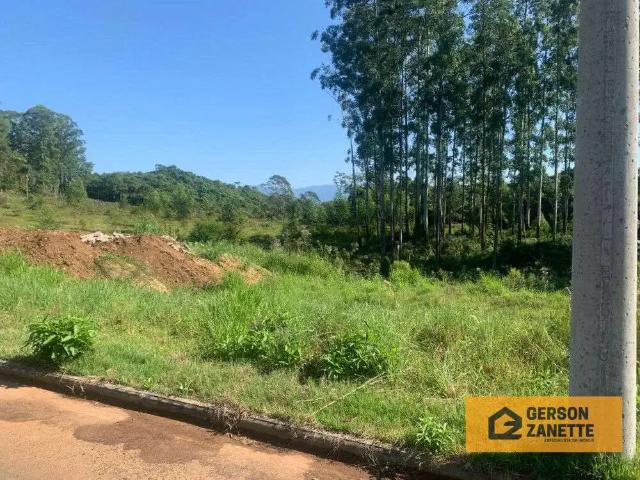Terreno / Lote para Venda em Nova Veneza/SC Centro