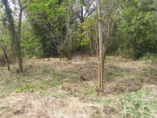 Terreno / Lote para Venda em Nova Veneza/SC São Bento Alto