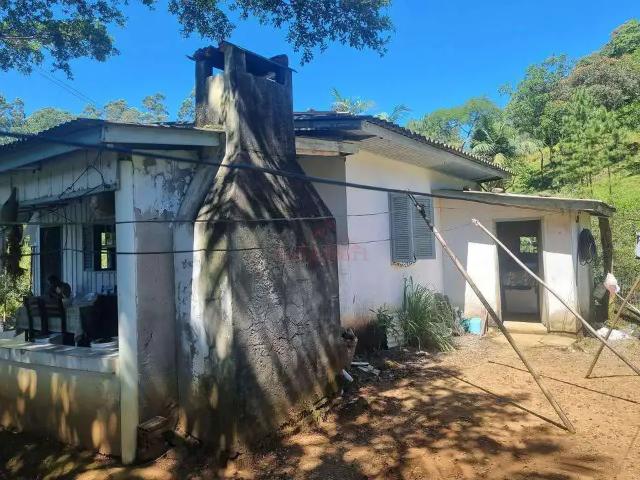 Terreno / Lote para Venda em Nova Veneza/SC São Bento Alto