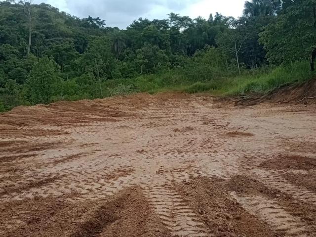 Terreno / Lote para Venda em Novo Gama/GO Jardim Lago Azul
