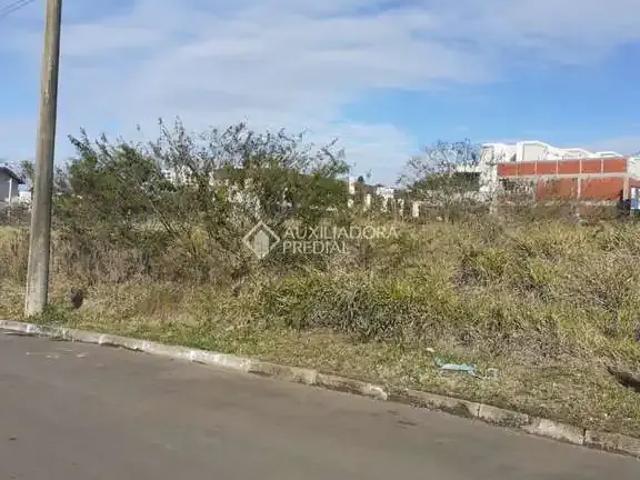 Terreno / Lote para Venda em Novo Hamburgo/RS Canudos
