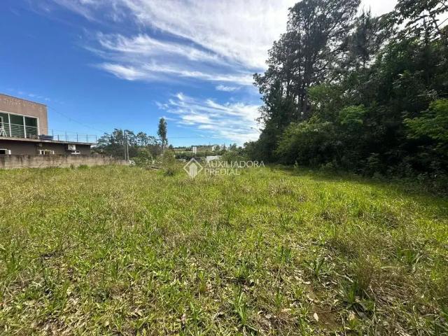 Terreno / Lote para Venda em Novo Hamburgo/RS Canudos