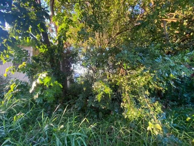 Terreno / Lote para Venda em Novo Hamburgo/RS Canudos