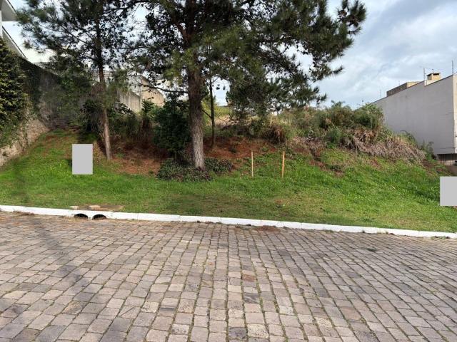Terreno / Lote para Venda em Novo Hamburgo/RS Canudos
