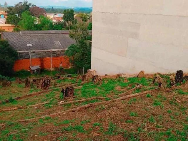 Terreno / Lote para Venda em Novo Hamburgo/RS Canudos