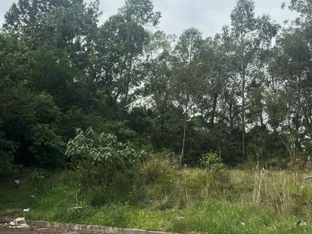 Terreno / Lote para Venda em Novo Hamburgo/RS Canudos
