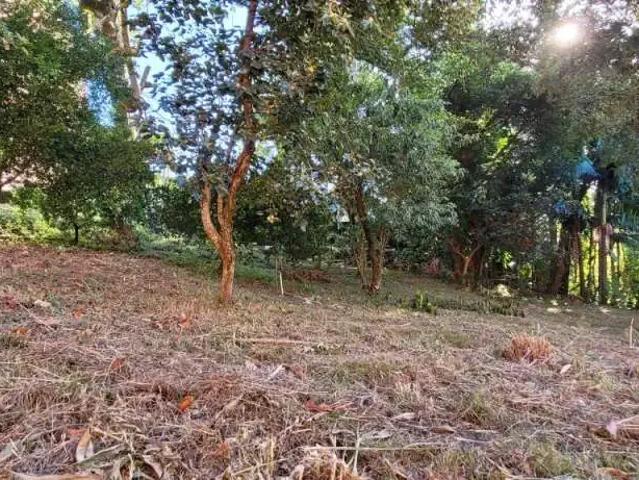 Terreno / Lote para Venda em Novo Hamburgo/RS Centro