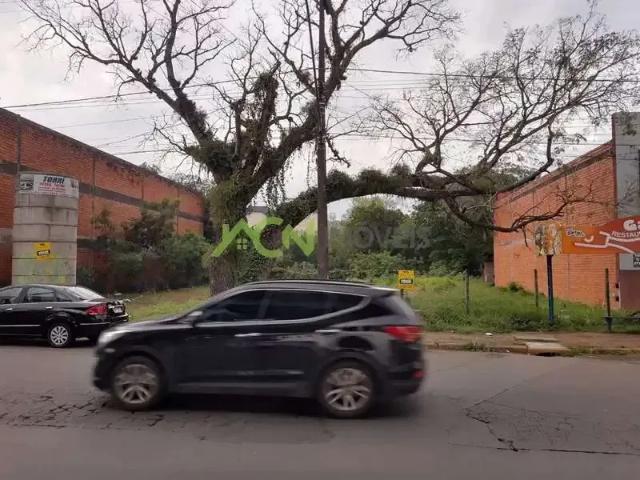 Terreno / Lote para Venda em Novo Hamburgo/RS Centro