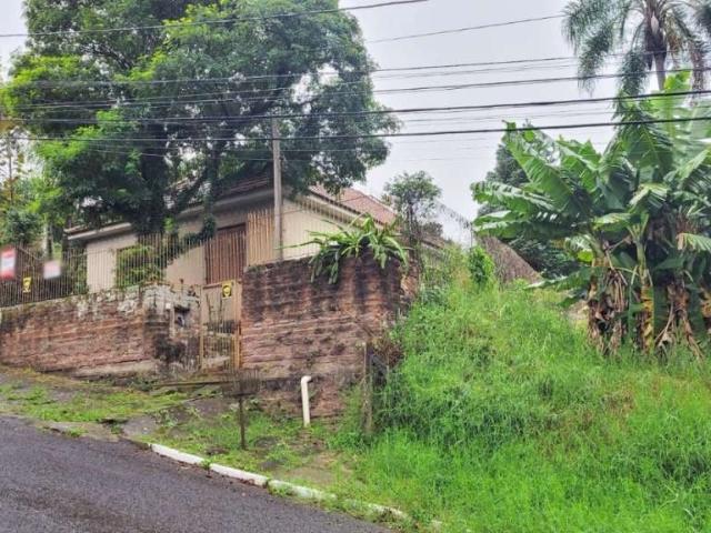 Terreno / Lote para Venda em Novo Hamburgo/RS Centro