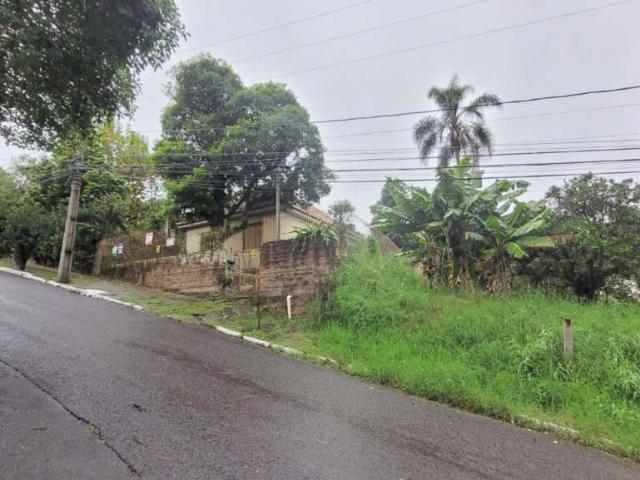 Terreno / Lote para Venda em Novo Hamburgo/RS Centro
