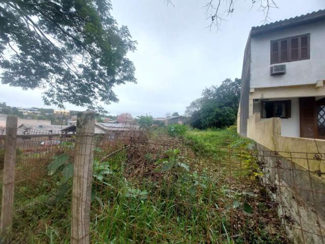 Terreno / Lote para Venda em Novo Hamburgo/RS Boa Saúde