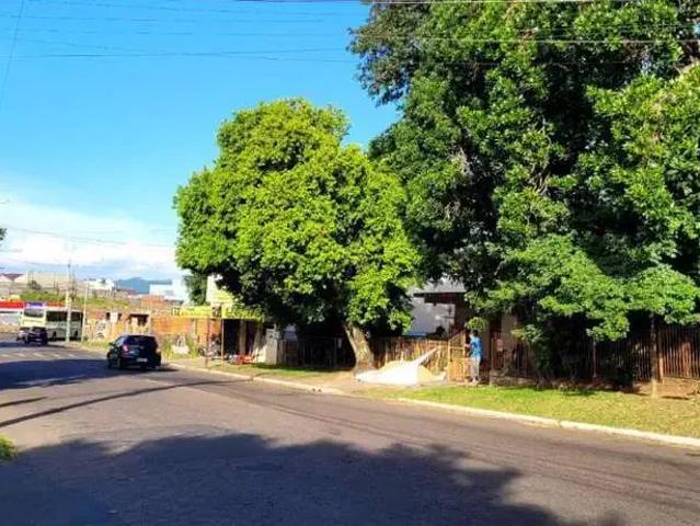 Terreno / Lote para Venda em Novo Hamburgo/RS Boa Saúde