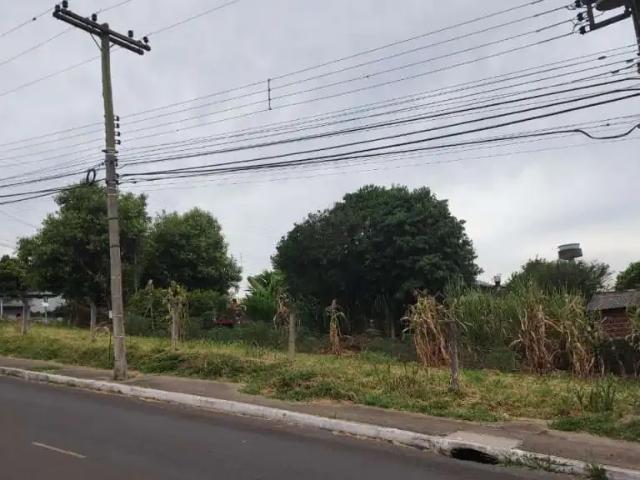 Terreno / Lote para Venda em Novo Hamburgo/RS Boa Saúde