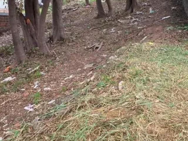 Terreno / Lote para Venda em Novo Hamburgo/RS Boa Saúde