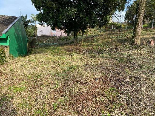 Terreno / Lote para Venda em Novo Hamburgo/RS Boa Vista