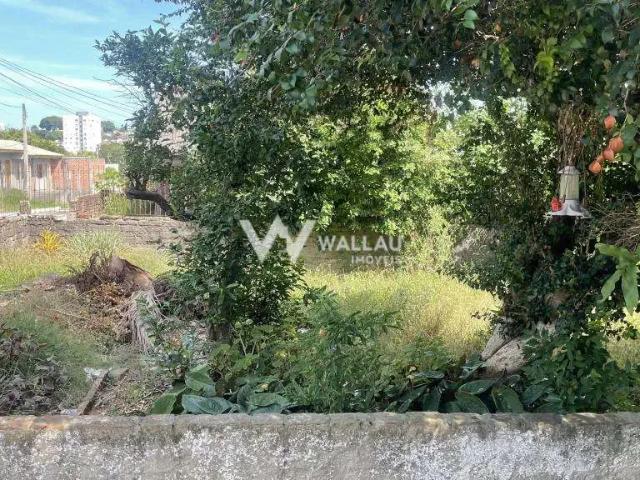 Terreno / Lote para Venda em Novo Hamburgo/RS Guarani