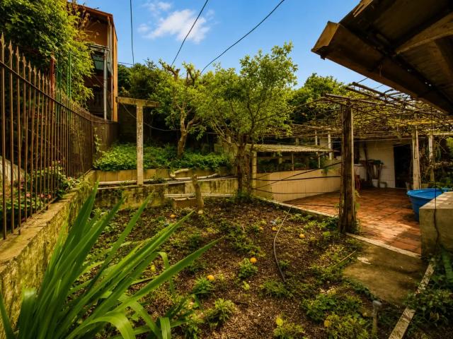 Terreno / Lote para Venda em Novo Hamburgo/RS Guarani
