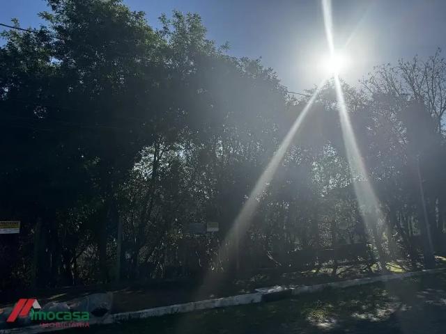 Terreno / Lote para Venda em Novo Hamburgo/RS Guarani