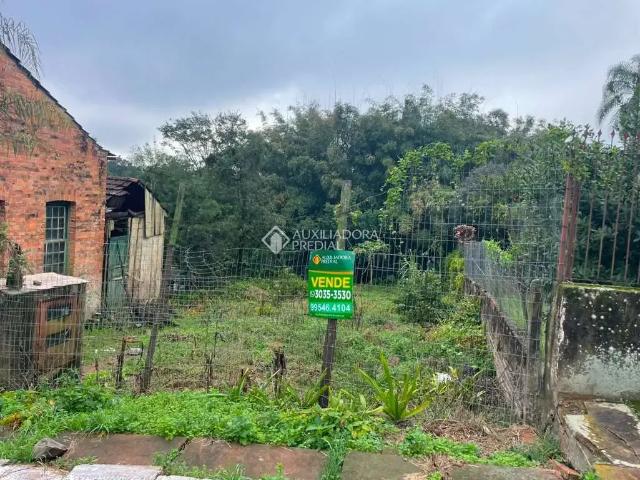 Terreno / Lote para Venda em Novo Hamburgo/RS Hamburgo Velho