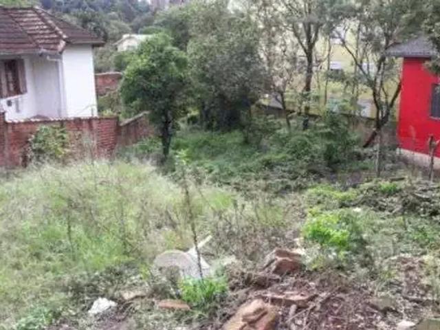 Terreno / Lote para Venda em Novo Hamburgo/RS Hamburgo Velho