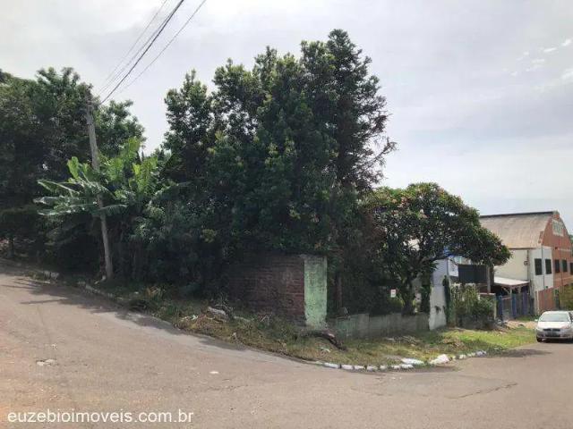 Terreno / Lote para Venda em Novo Hamburgo/RS Ideal