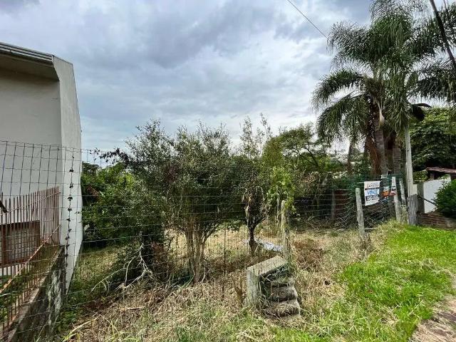 Terreno / Lote para Venda em Novo Hamburgo/RS Ideal