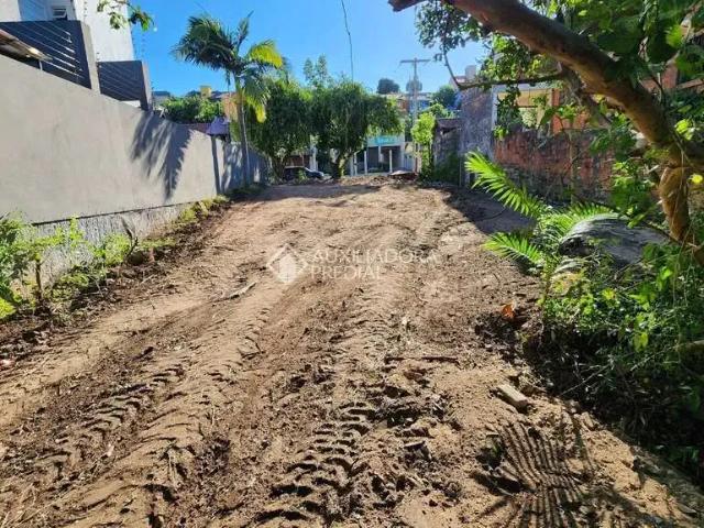 Terreno / Lote para Venda em Novo Hamburgo/RS Ideal