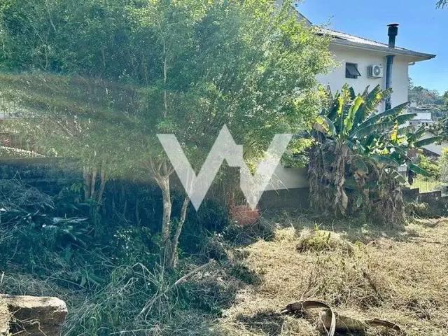 Terreno / Lote para Venda em Novo Hamburgo/RS Ideal