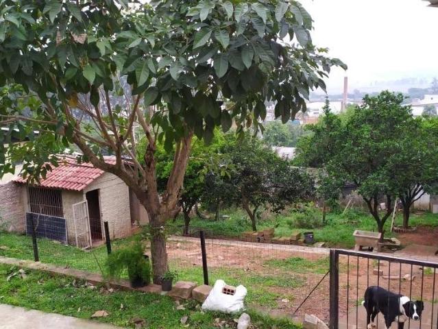 Terreno / Lote para Venda em Novo Hamburgo/RS Ideal