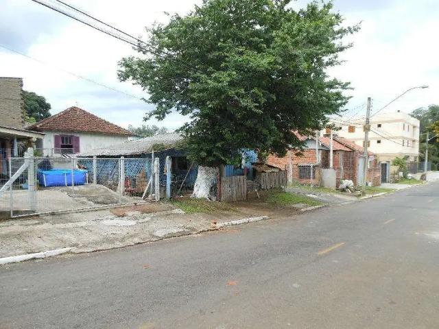Terreno / Lote para Venda em Novo Hamburgo/RS Jardim Mauá