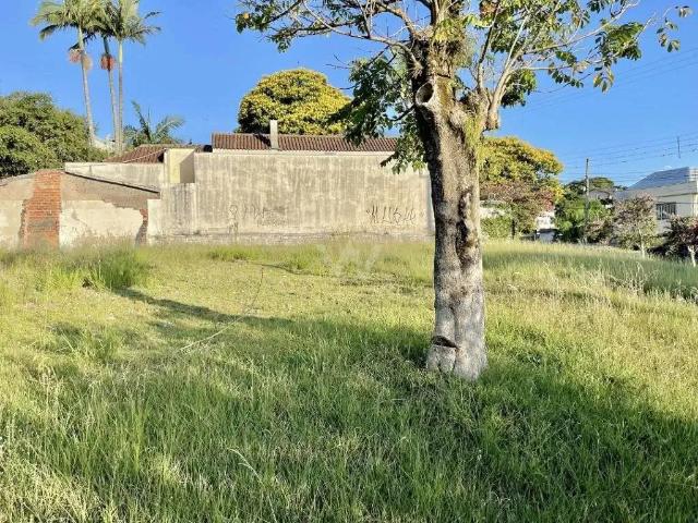 Terreno / Lote para Venda em Novo Hamburgo/RS Ouro Branco