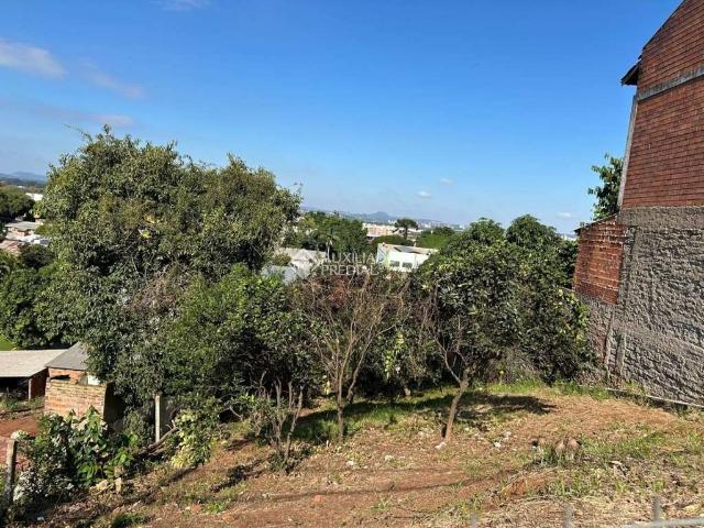 Terreno / Lote para Venda em Novo Hamburgo/RS Liberdade