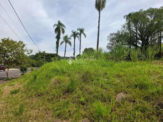 Terreno / Lote para Venda em Novo Hamburgo/RS São José