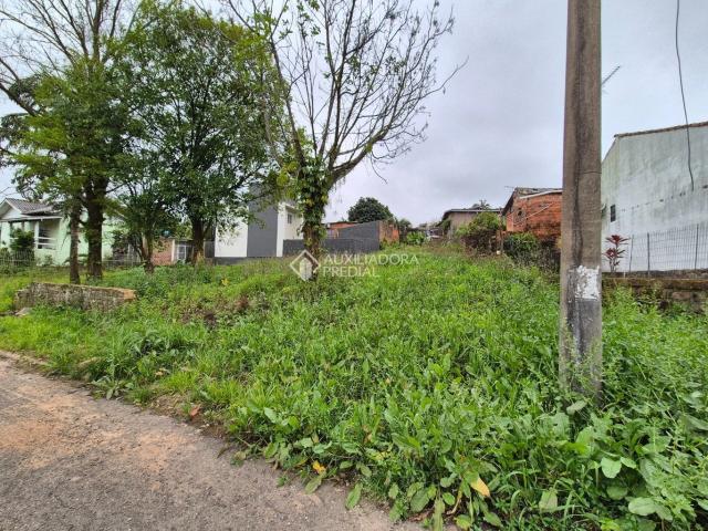 Terreno / Lote para Venda em Novo Hamburgo/RS São José