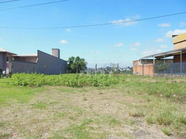 Terreno / Lote para Venda em Novo Hamburgo/RS São José