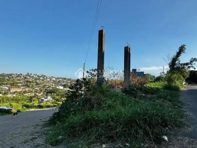 Terreno / Lote para Venda em Novo Hamburgo/RS São José