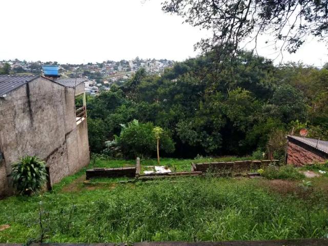 Terreno / Lote para Venda em Novo Hamburgo/RS São Jorge