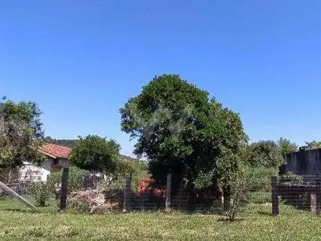 Terreno / Lote para Venda em Novo Hamburgo/RS São Jorge