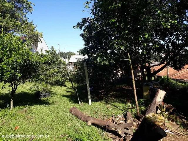 Terreno / Lote para Venda em Novo Hamburgo/RS Santo Afonso