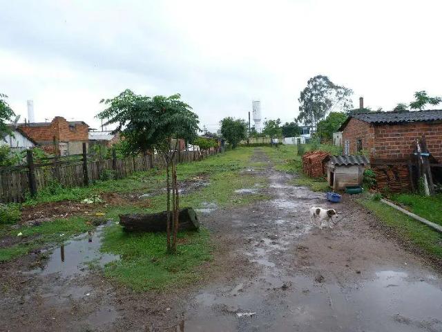 Terreno / Lote para Venda em Novo Hamburgo/RS Santo Afonso