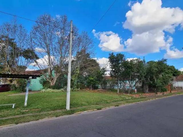 Terreno / Lote para Venda em Novo Hamburgo/RS Pátria Nova