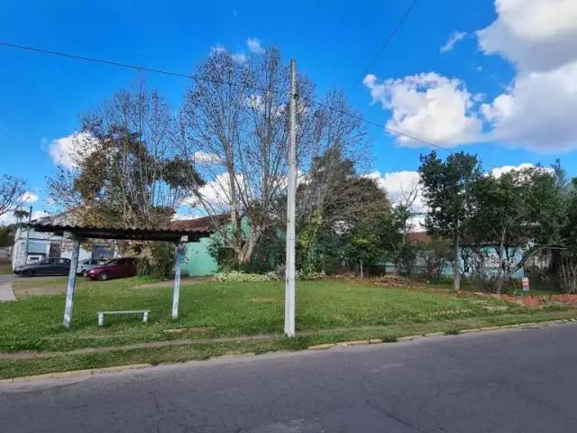 Terreno / Lote para Venda em Novo Hamburgo/RS Pátria Nova
