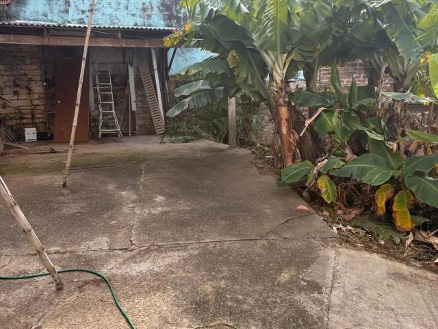Terreno / Lote para Venda em Novo Hamburgo/RS Primavera