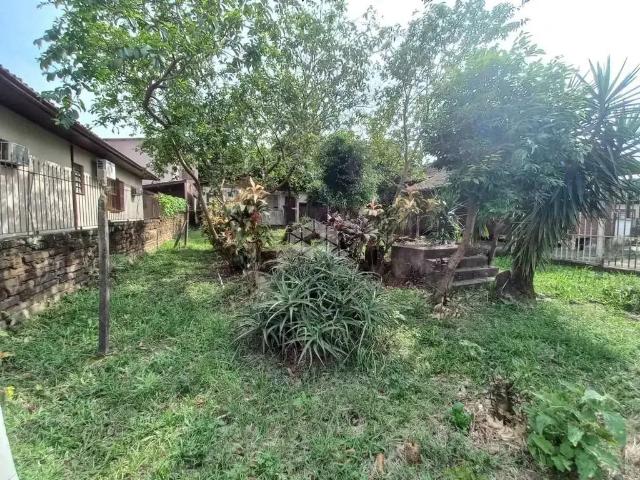 Terreno / Lote para Venda em Novo Hamburgo/RS Primavera