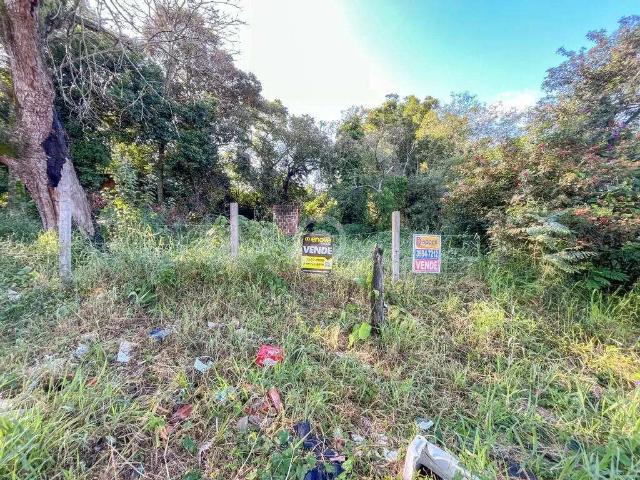 Terreno / Lote para Venda em Novo Hamburgo/RS Rondônia
