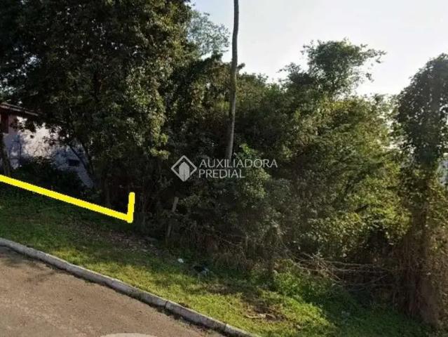 Terreno / Lote para Venda em Novo Hamburgo/RS Roselândia