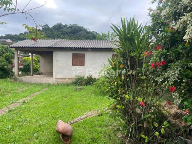 Terreno / Lote para Venda em Novo Hamburgo/RS Roselândia