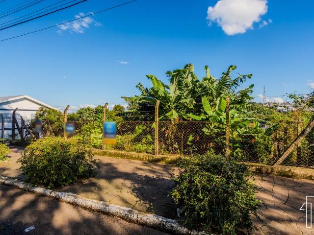 Terreno / Lote para Venda em Novo Hamburgo/RS Rincão