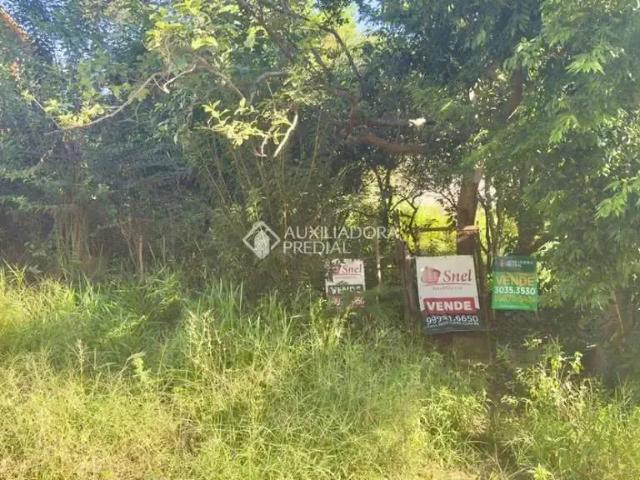 Terreno / Lote para Venda em Novo Hamburgo/RS Rincão